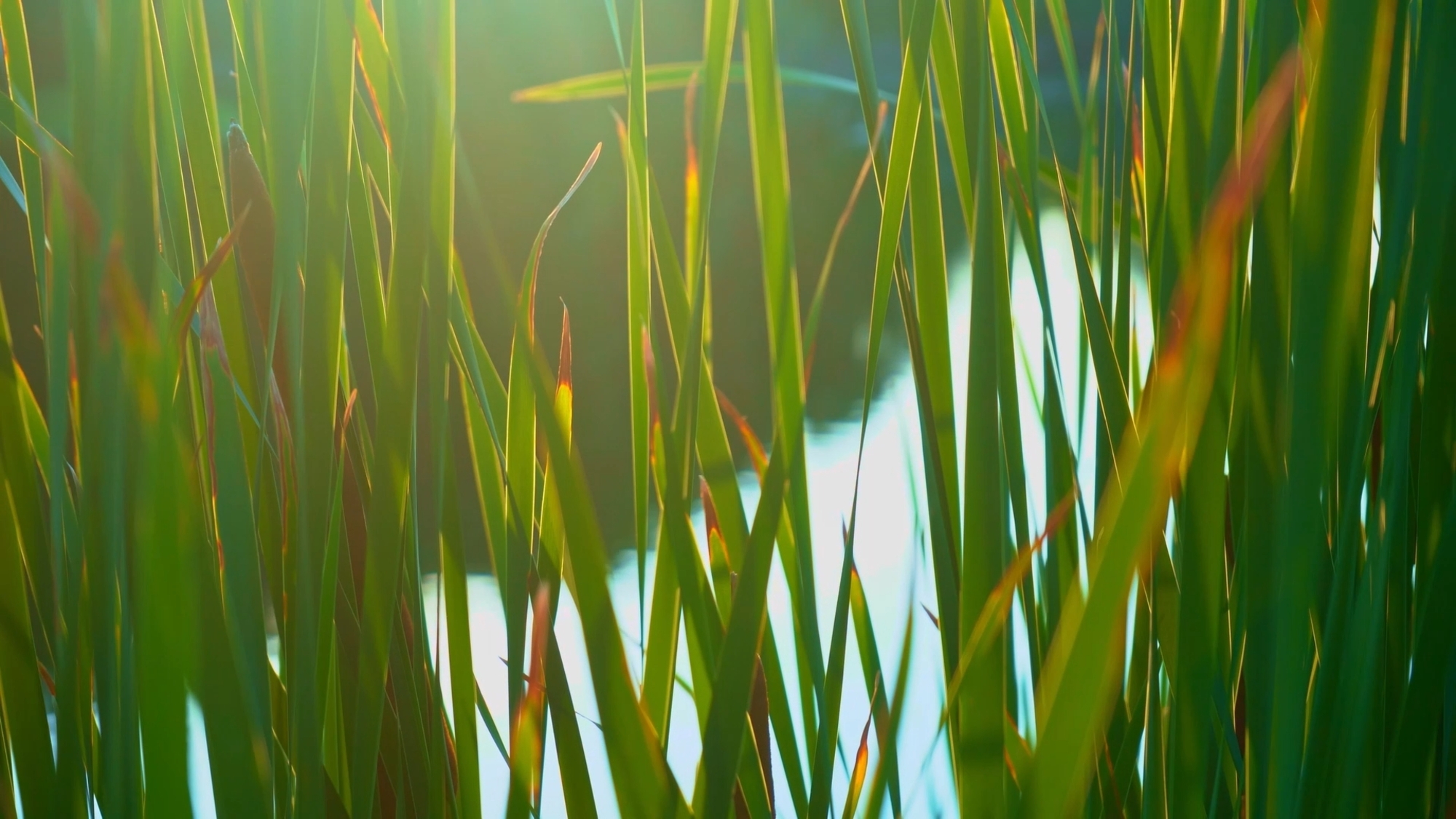 An Outlook on Your Life