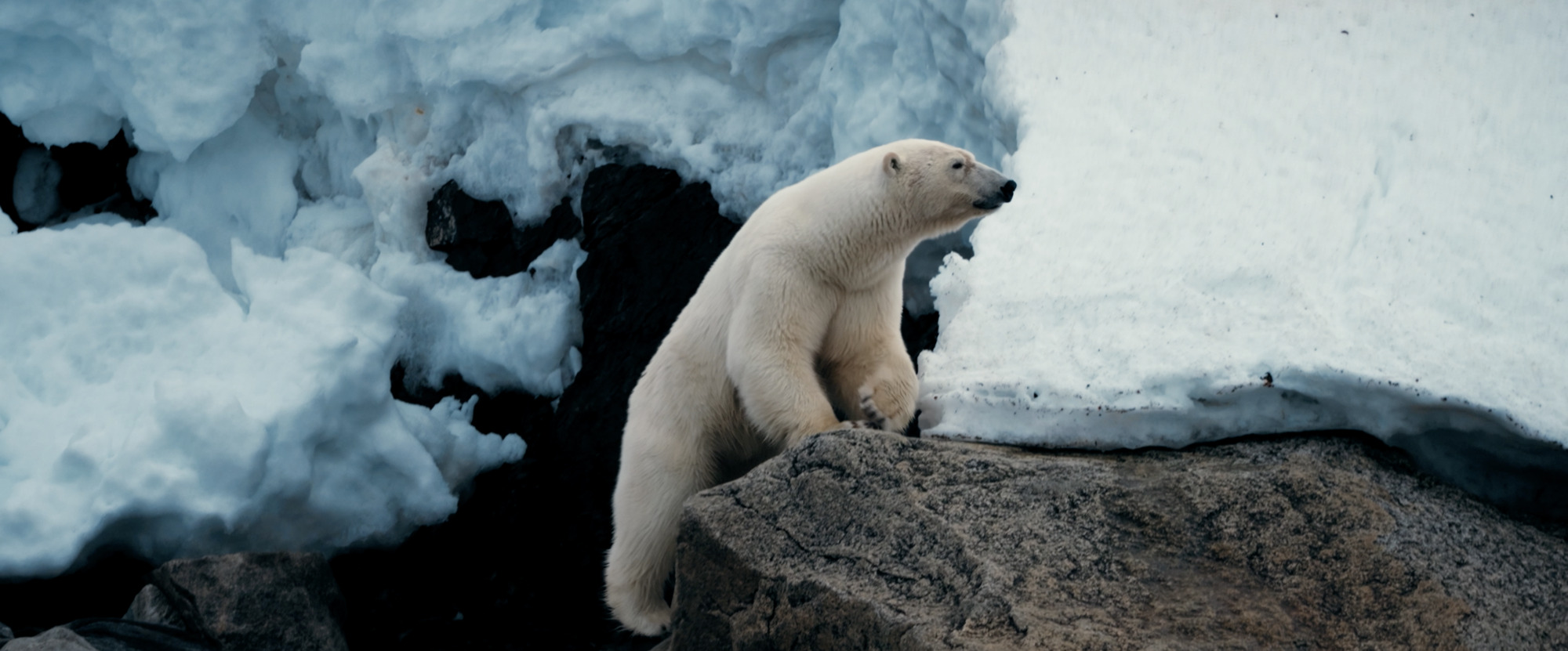 Where the Wind Takes You